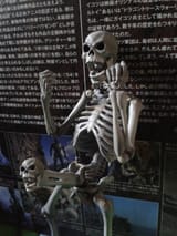 1558019947496