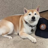 nam stare