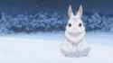 it&#039;s just a rabbit_thumb.jpg