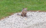 IMG_20250628_191048_133_1