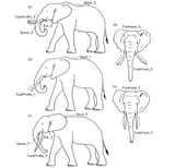 Illustration-kibale-elephants2