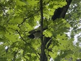 IMG_5866