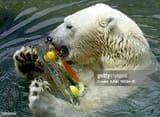 gettyimages-53234918-612x612