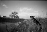 Image 18 (1) (2)