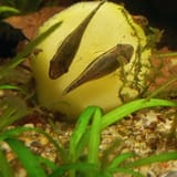 IMG_20250630_125601