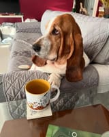 img_1_1751289258820