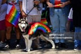 gettyimages-1401328857-612x612