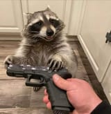 Thread 5009944 OP Image