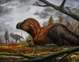 Triceratops adoption Witton 2015 low res