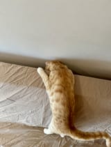 IMG_1651