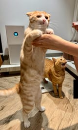 IMG_1671