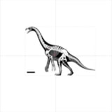 Therizinosaurus VCOG
