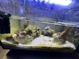 my tank got nuked