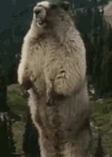 euu