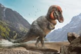 Andy Frazer T. rex