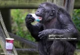 gettyimages-848498742-612x612