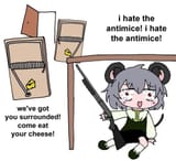 nyn antimice