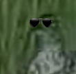 2025-07-02-1751456292_535x483_