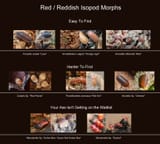 reds
