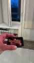 that&#039;s my finger_thumb.jpg