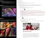 Feather denialism