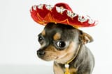 istockphoto-152514029-612x612