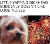 GvAxyaZXsAAOgzj