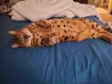 IMG_20240917_203340