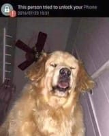 kjhgvfds