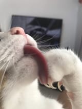 kaRmwtu