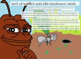 1MmkTnv
