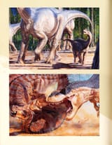 art_Bonner_156