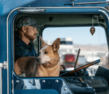 truckdog