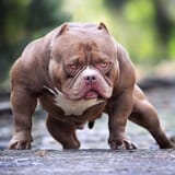 FnNVGLnaUAAdgZ2
