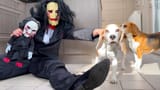 maxresdefault-3