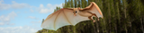 cropped-f2-ichthyoconodon
