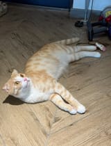 IMG_1775