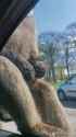 1690474258159100-1_7IFgafMX (1)_thumb.jpg
