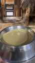 anteater soup_thumb.jpg