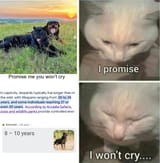 NOOOOOOOOOOOOOOOOOOOOOOOOOOOO