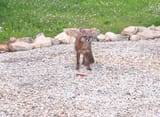 IMG_20250708_183718_020_1