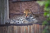 IMG_5210-SP1