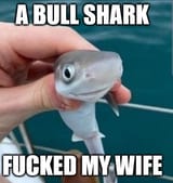 high class comedy