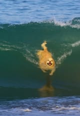 WaveofJoy