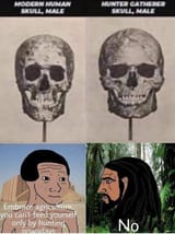modern-human-skull-cringe-hunter-gatherer-skull-based-v0-gdwhp29dfg6e1