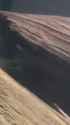 fish_thumb.jpg