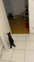 kitchen sable_thumb.jpg