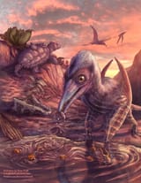 Eotephra cropped for cover1WM