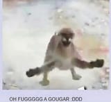 1627597634375
