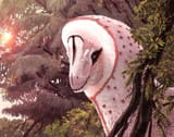 Allowsaurus Realistic Depiction